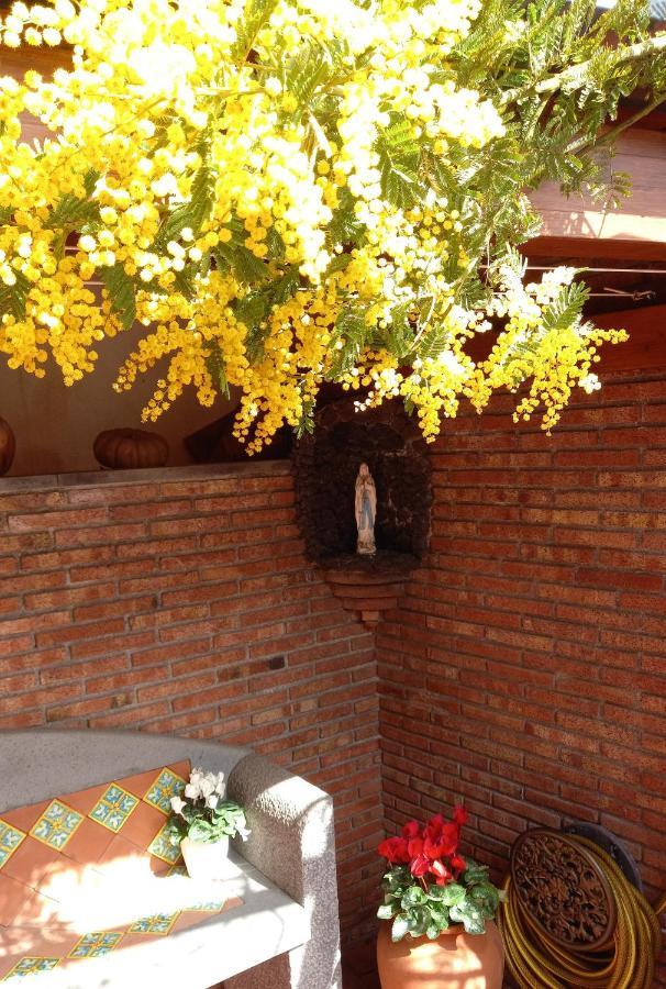 Casa Dell'Ulivo Βίλα Aci Bonaccorsi Εξωτερικό φωτογραφία